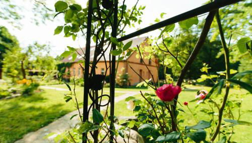 Feriendomizil Alter Garten - Photo 4, Garden