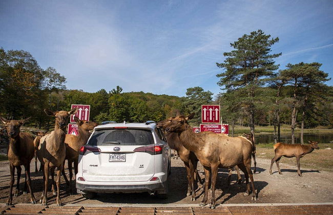 Safari por Omega Park - Foto 4