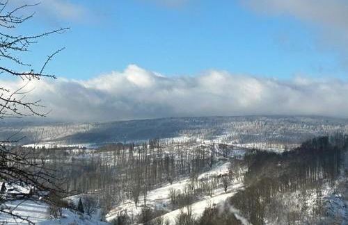 Blockhaus Kik im Harz - Foto 63
