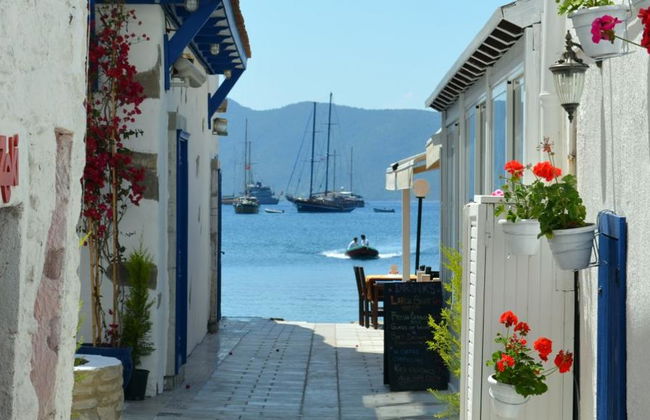 Bodrum Shore Excursion - Full-Day Tour - Foto 2