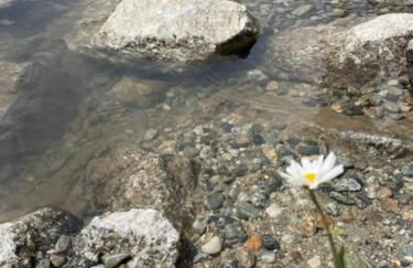 Le 1954 La Rosière - Foto 65