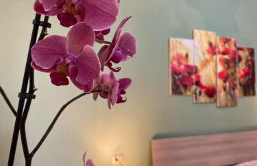 Villa Gladyr - Foto 50