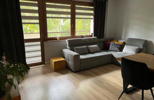 Komfortowe mieszkanie - Foto 8