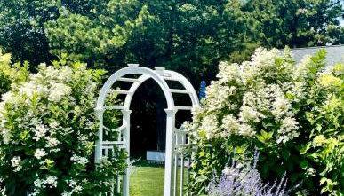 Katama Family Fun - Foto 3