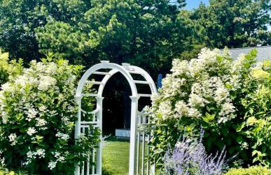 Katama Family Fun - Foto 3