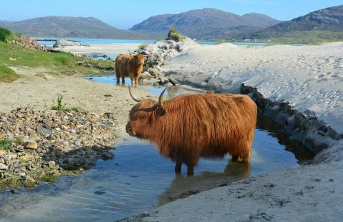 Taigh Marsaili - Foto 46