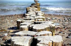 Garten-Ferienhaus Biendorf OT Westenbrügge - Foto 15