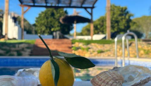 Quinta da Layla - Photo 2