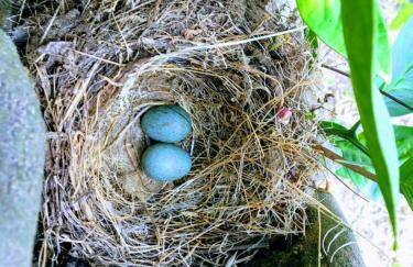 CàSolare Country House - Foto 27