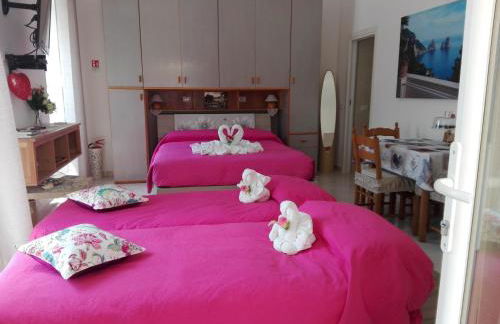 La Necussella - Foto 43