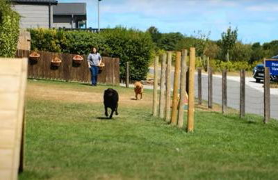 Honeycomb Lodge - Holiday Home 5 min from Padstow - Foto 27