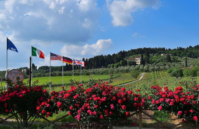 Rustic Elegance Near Florence - Foto 49