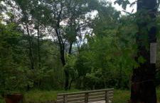 Agriturismo le Cammarose - Foto 78