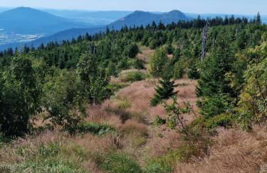 Haus Kuchler - Foto 29