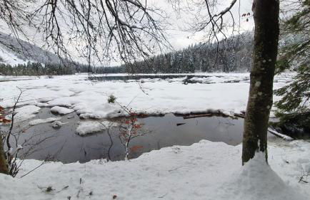 LE CHALET VOSGIEN bain nordique Kota Grill - Foto 46