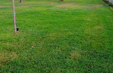 Aloni Studios and Apartments - Photo 9