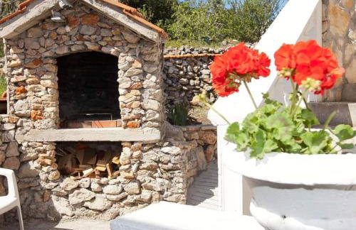 Apartments Ruža Dragove Dugi otok - Foto 31