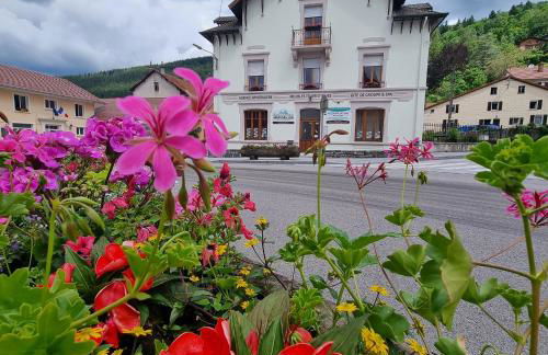 Gite Bruyère, 2 à 5 personnes avec salle de jeux et SPA dans la résidence - Foto 21