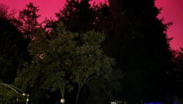 Forsthaus Neudorf - Gartenblick - Foto 3, Garden view