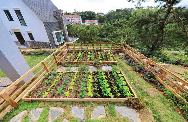 An Nhiên Villa - Photo 72