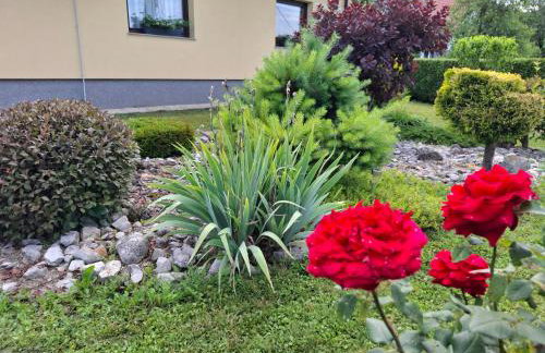 Kuća za odmor Vuković - Foto 28