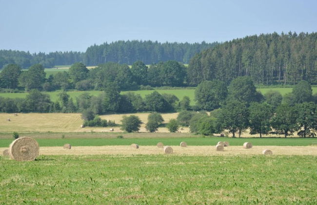 Spacious Retreat, Daverdisse - Photo 30