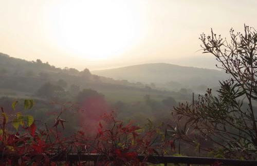 Grande maison Art Nouveau entre mer & garrigue, charme et loisirs au cœur du Sud - Foto 49