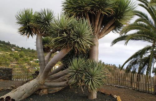 Casa Fagundo - Foto 25