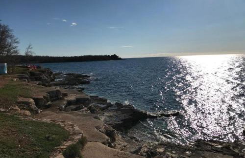 Casa Rosa - Photo 33