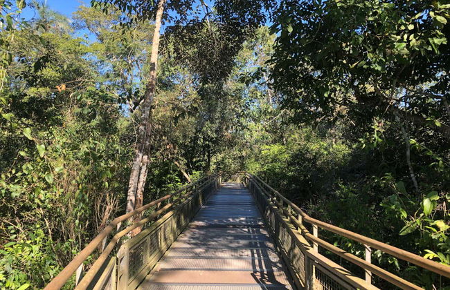 Excursion privée depuis Puerto Iguazú - Photo 2