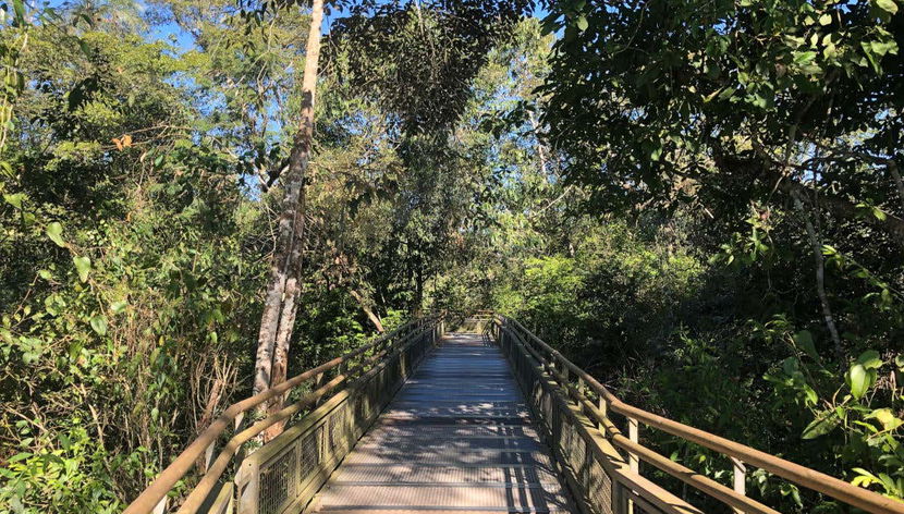 Passerelle des Chutes d'Iguazú
