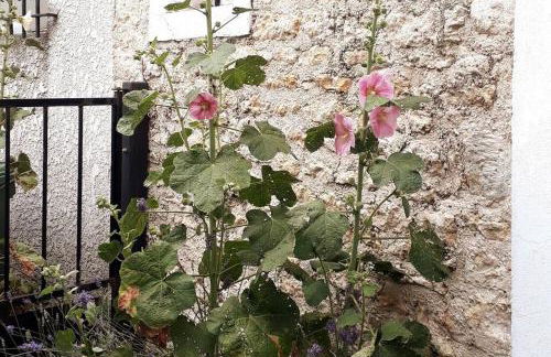 Maison typique Domino centre - Foto 18