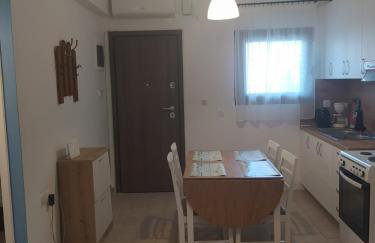 Vaso Manos Apartment - Siviri Chalkidiki - Foto 21