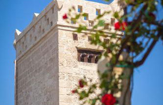 Agriturismo Li Calizzi Arte e Natura - Foto 26