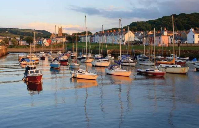 Parc-yr-Hebog - Photo 27