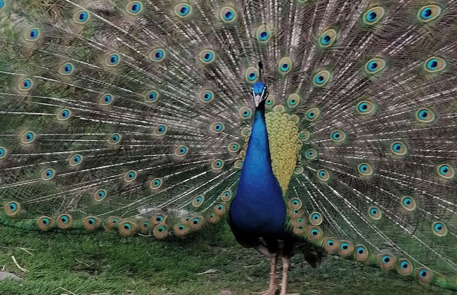 Countryside Cottage Retreat at Ty'r Cwm Farm - Photo 17