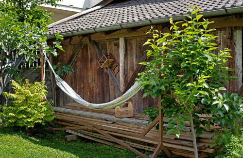 Bertollhof Apfelerlebnis - Foto 22