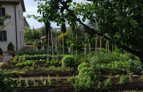 Casarciccia - Photo 37