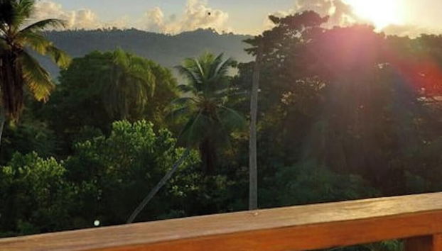 Great Palm View - Apartment 3 in Villa Coconut - Foto 2, Varanda