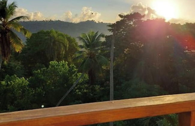 Great Palm View - Apartment 3 in Villa Coconut - Foto 2