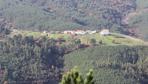 Alojamentos Turísticos São Torcato Moradal Turismo Espaço Rural - Foto 3
