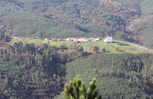 Alojamentos Turísticos São Torcato Moradal Turismo Espaço Rural - Foto 3
