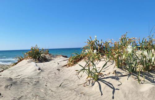 Aurora e Alba - Foto 63