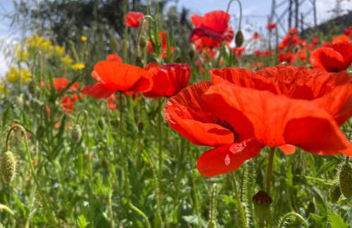 La casetta sulle nuvole. - Foto 16