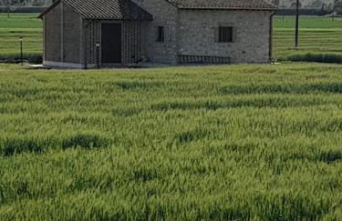 Una casa nel grano: Casa Luciola - Foto 8