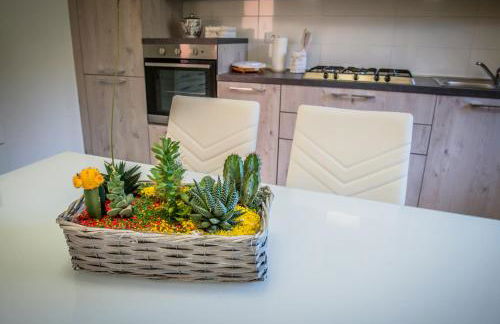 Appartamenti vicino al mare - Photo 24