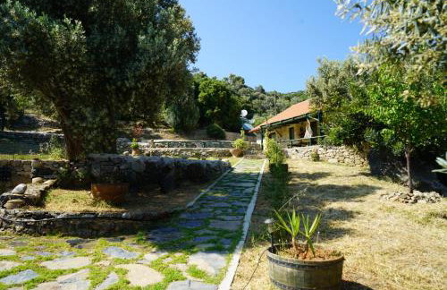 Elpida Country House -Paleochora-Anidri - Foto 14