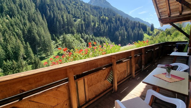 Apart Ladner - Foto 3, Terrace