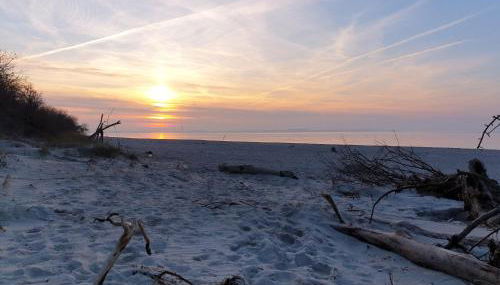 Seesternchen - Foto 3