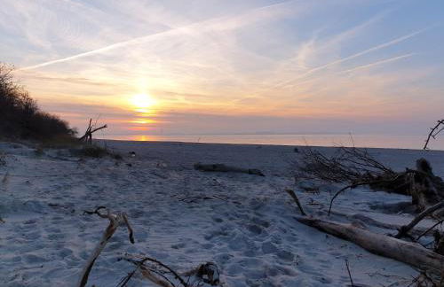 Seesternchen - Foto 3